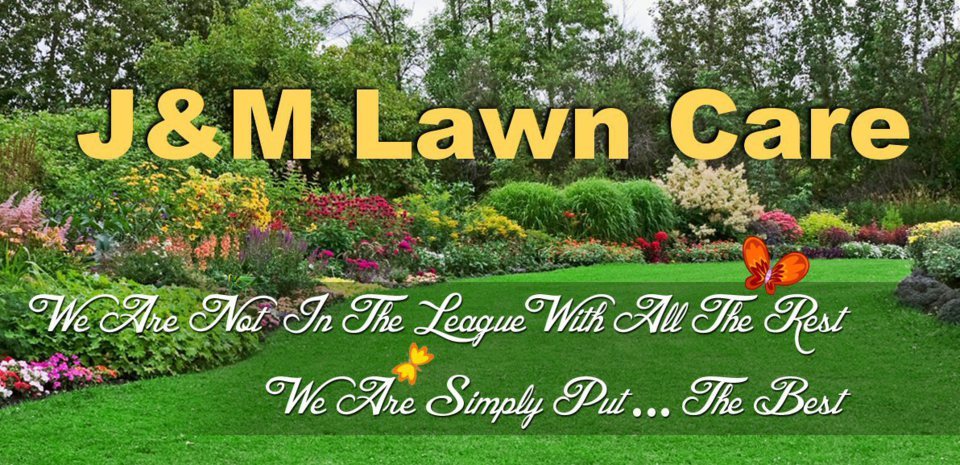 affordable lawn care lincoln ne